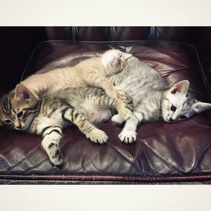 3f6ed1a4 9634 4570 bbca 8c4b540da023