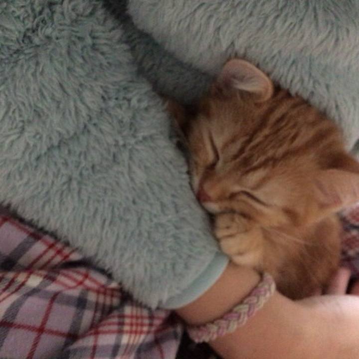 3f6f1ed1 c5b6 4019 80a7 539efd3d97e1