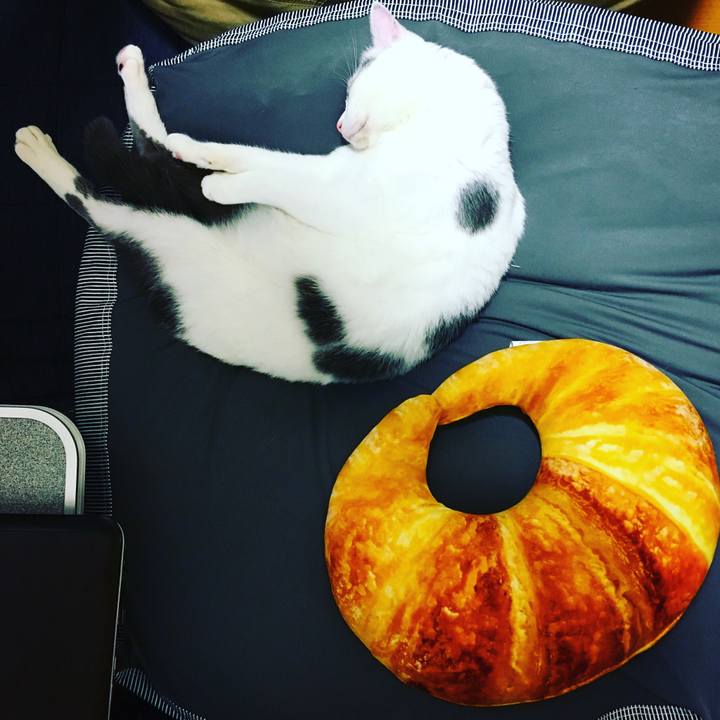 3f6f63fd c5b6 4cc7 a149 bbc2b0dcd92c