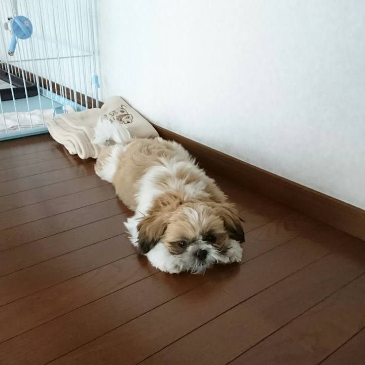 3f703e2c aa41 41db ba57 8323ea45308e