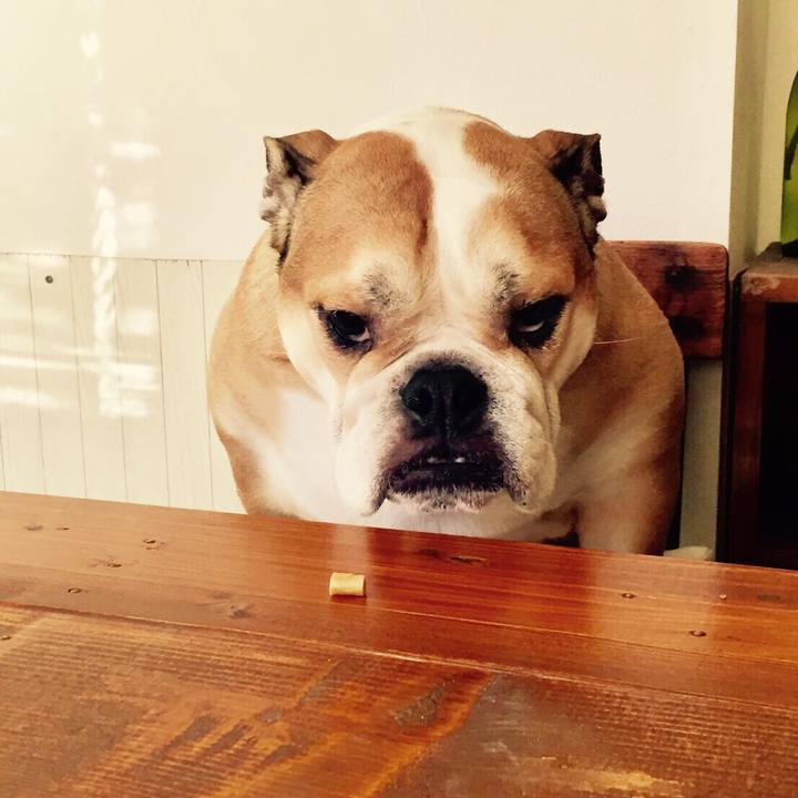 3f70cdac 47ca 486a bc88 213e6fa39564