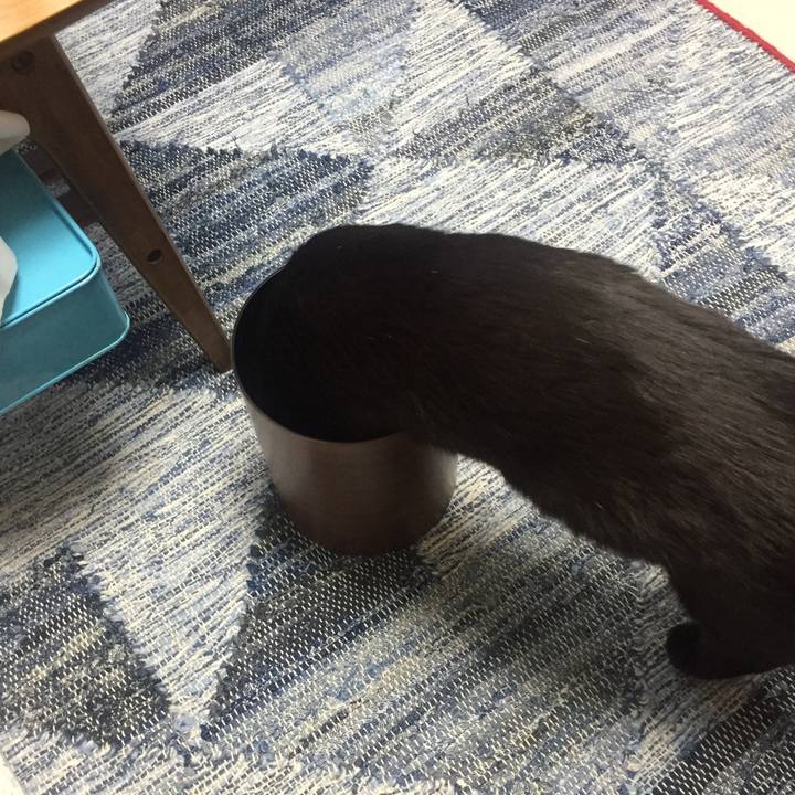 3f70f3f4 112e 40f2 bead f5949acd239e