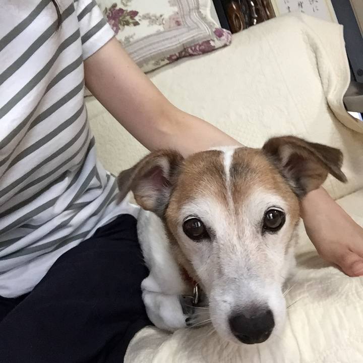 3f712363 ced7 42ed 8dc0 568c5a21c245