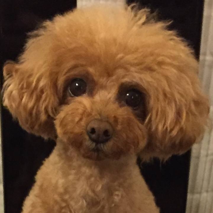 3f71f85b d5a6 4fb2 9f80 9aaeed83f785