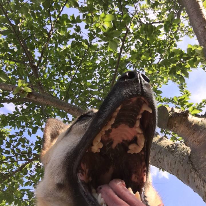 3f7267d2 8e7c 4022 acd9 5ac475346250