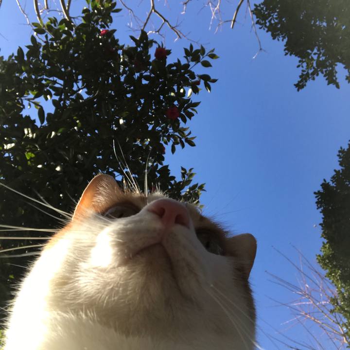 3f72c9a6 66ee 4bdb ad1a 9c8e5f647199