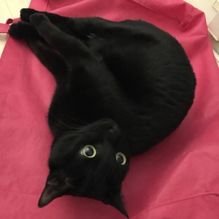 3f72cd66 9129 4fa3 9396 2c1553dba632