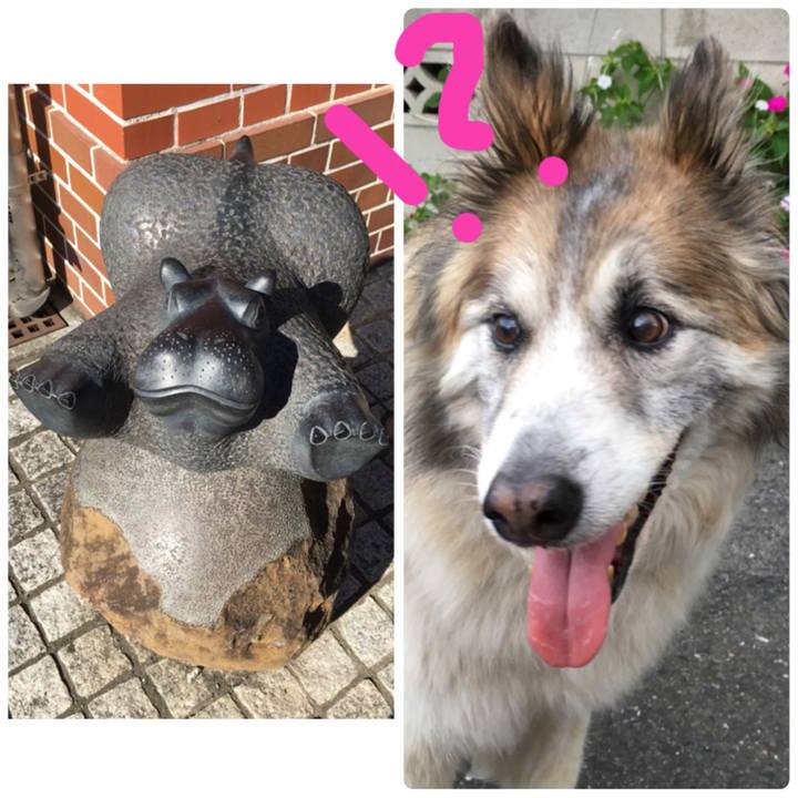 3f731f49 5d63 48a8 8e7c 4f3896bdb1d9