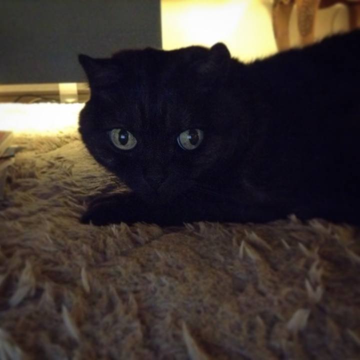 3f73a16e 9a6a 4656 a334 3e269957d7e6