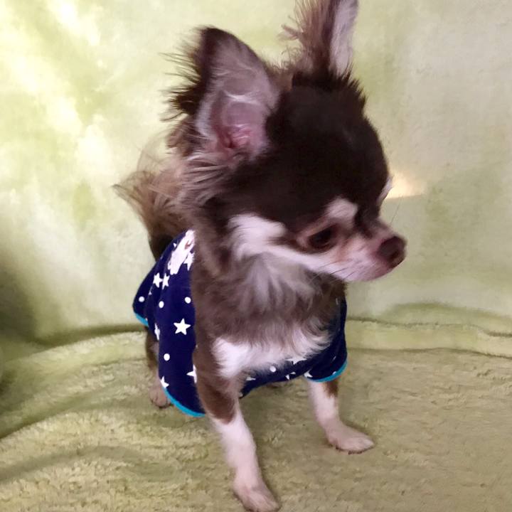 3f744d15 a401 4bf7 ac10 caf928a9f9c7