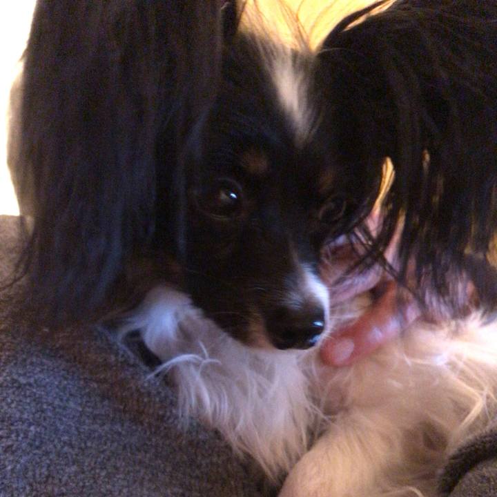 3f75c7df d945 4349 86e7 c5b22076717a