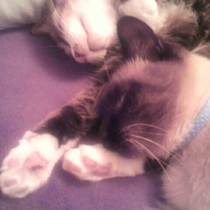 3f76dd3e b86c 4448 bc89 3c80b7287c21