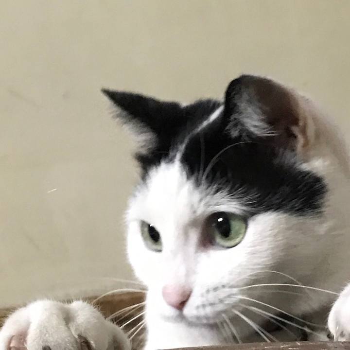 3f77d404 d5f8 4ee7 9523 c5d71e911237