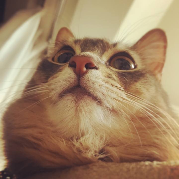 3f77f924 dbaa 4aee 905a e894627b401f