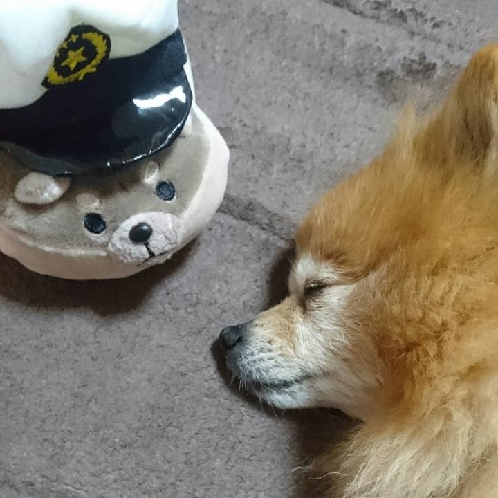 3f78aaa1 54e3 4df9 983d 417901b2e2de