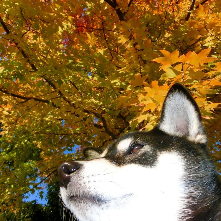 3f78c04b f07e 455b 95a3 16fba8e64d43