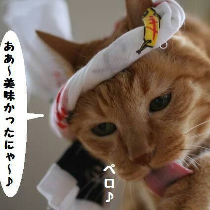 3f794cdf 1dd9 4fd1 b1bc d4c686f9b86a