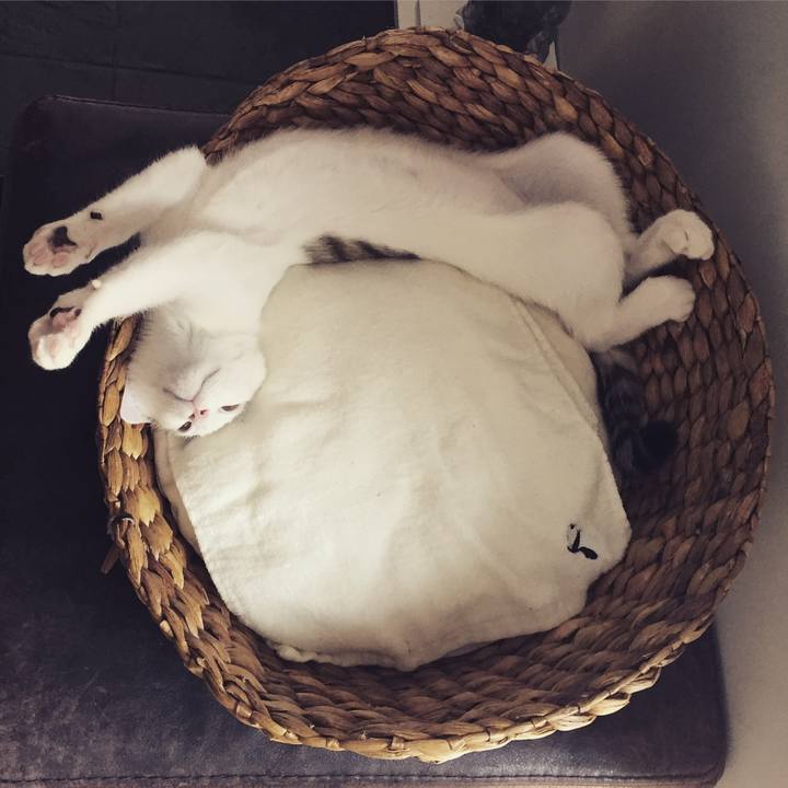 3f796c02 922d 4667 994c 69a25e79ebb3