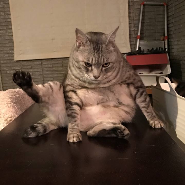 3f797399 a3d6 4a67 975c a6cad994ae6d