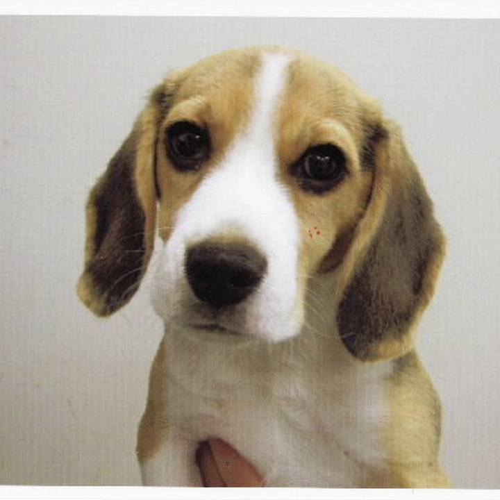 3f797b2a 76f9 4eeb 9e07 1b35037cba06