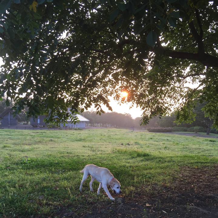 3f79b7d1 be75 4c4f 90a2 ce8b19a19d46