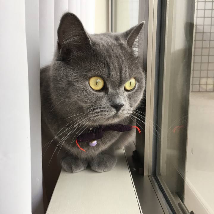 3f7a4b28 5a05 4853 a094 8b04be5f4bec