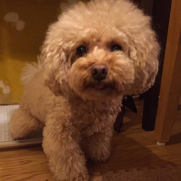 3f7b5659 87ab 49c3 bb32 c8a2bfe6a827