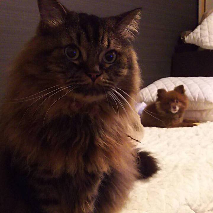 3f7bf9d0 77f8 4854 b19b df48225a2850