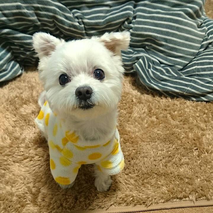 3f7c09c6 c306 45b1 8b00 580c6c15a9cf