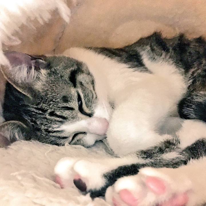 3f7cae79 4422 48cb a2d3 3e26e74b898f