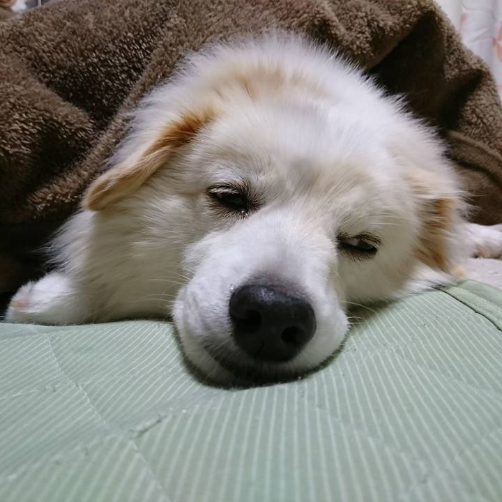 3f7caf31 2271 4f69 b233 c7526c9e90ce