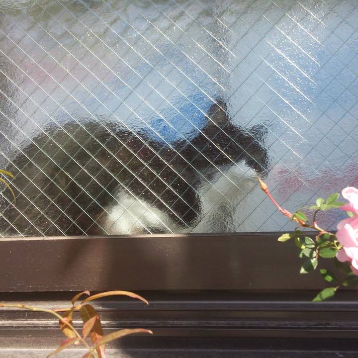 3f7cb793 2d49 4dff a557 aeb762b8b4ac