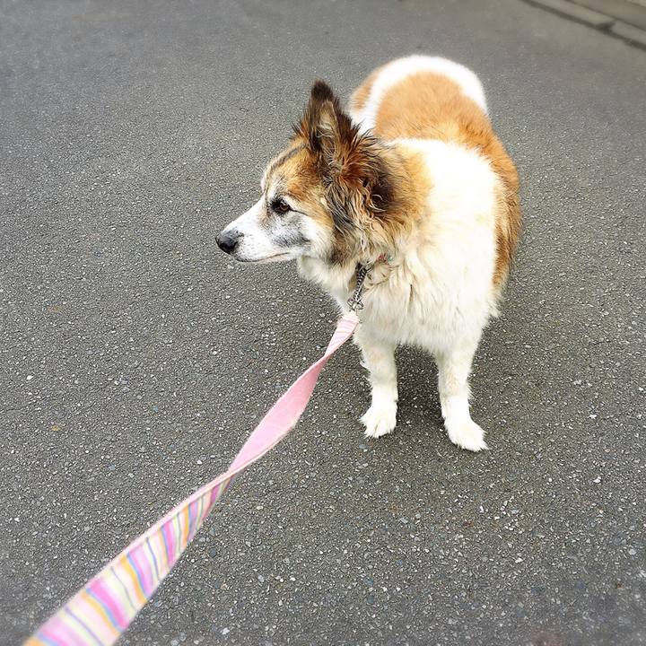 3f7d03b9 e60e 4dd4 aff7 233e8563d188