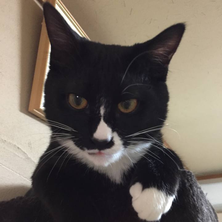 3f7df458 6b48 4902 b6bf 6badea92c4c2