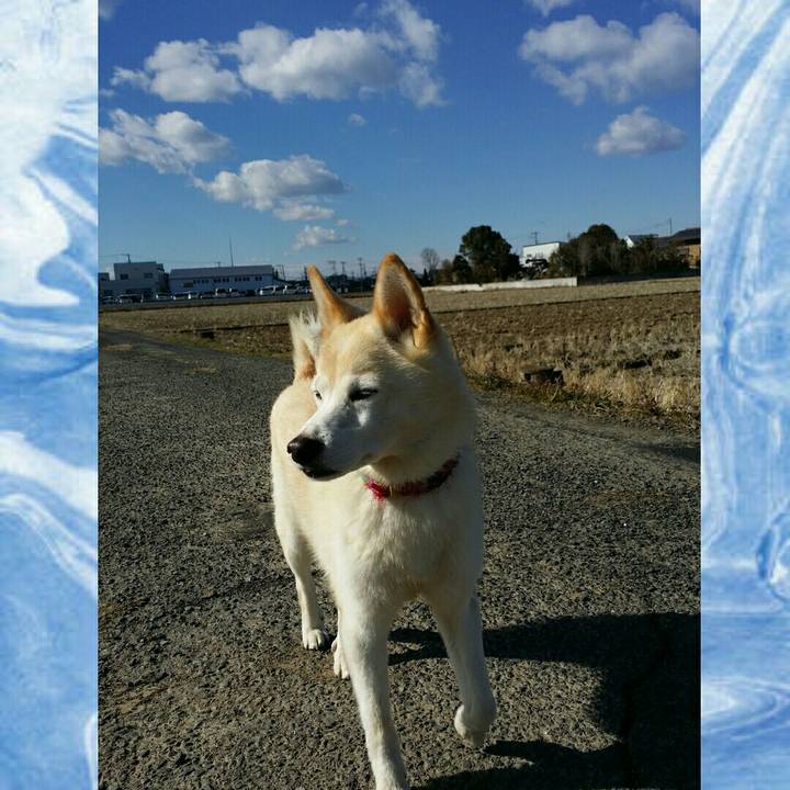 3f7fb7a6 8d9b 4c0f b62c 050d797ffb27