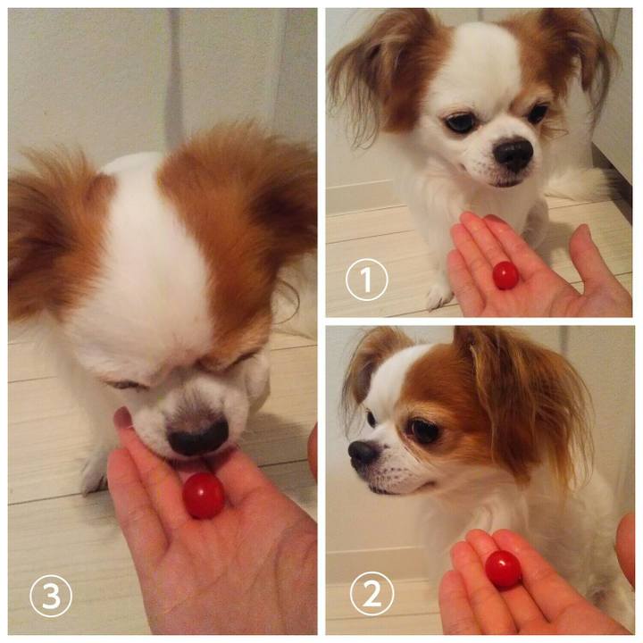 3f7fc9c2 4f63 4106 a88f 38840d761c99