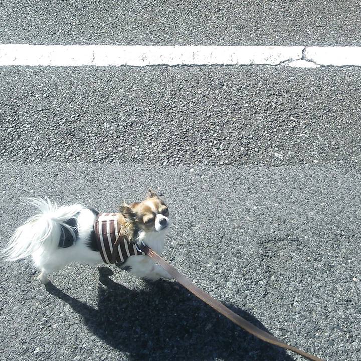 3f800a6f 3490 4cfa b72f 7ee8cbd4aefa