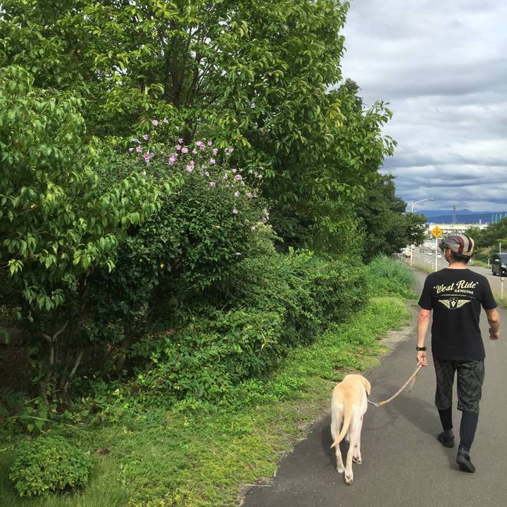 3f802176 e42d 46ac ae08 e28d877637a5