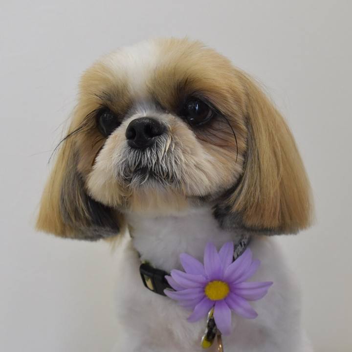 3f8079ae 98ad 4a08 8969 15b5bb9721cf