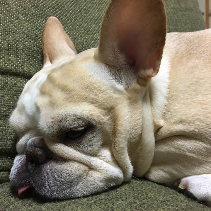 3f814110 f5c0 41e0 a88f 4a860a6ad509