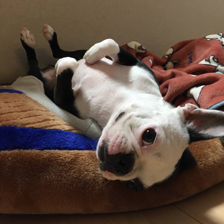 3f81d882 bb8c 452a 832f a7f0739f4b50