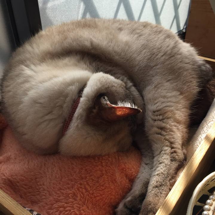 3f8256ef 5914 430a a2f4 3c5aa4d3029c