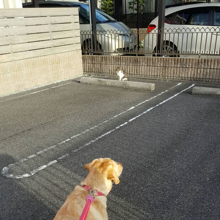 3f8396b3 4b08 4c41 ab19 5e885ae47e67