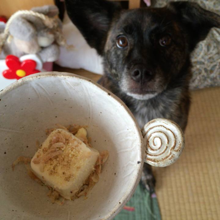 3f83d9fc 96ff 4460 907b 69e22f17e549