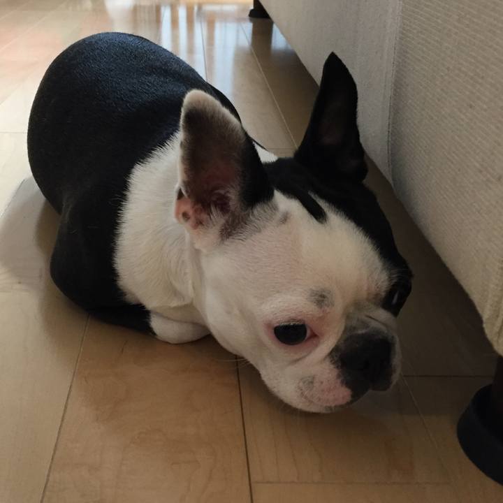 3f84243c dcd6 405d 89bc 6b0e3aea785a