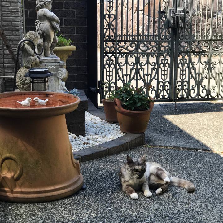 3f848e6e 4378 4384 a275 5cdda9231b99