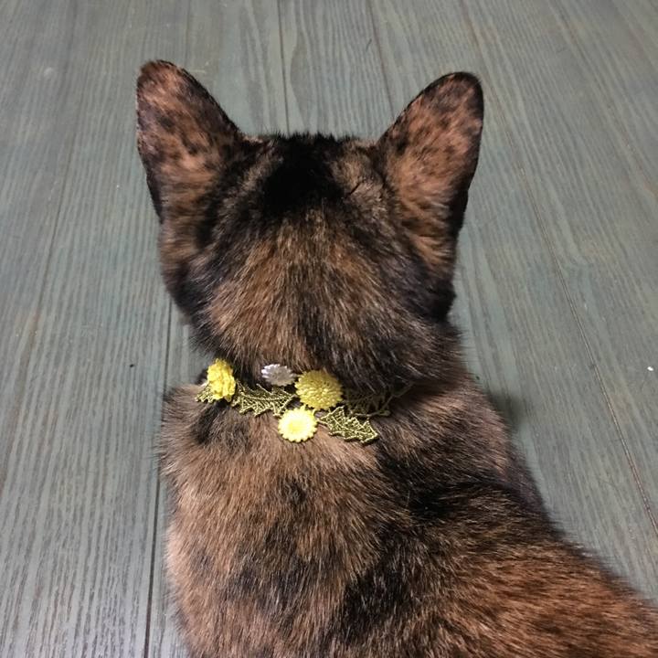 3f8495ed c429 4b72 977f e16924a0b15a