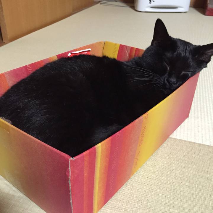 3f84b009 e1fd 4a21 afc3 0a4b3c08e3d3