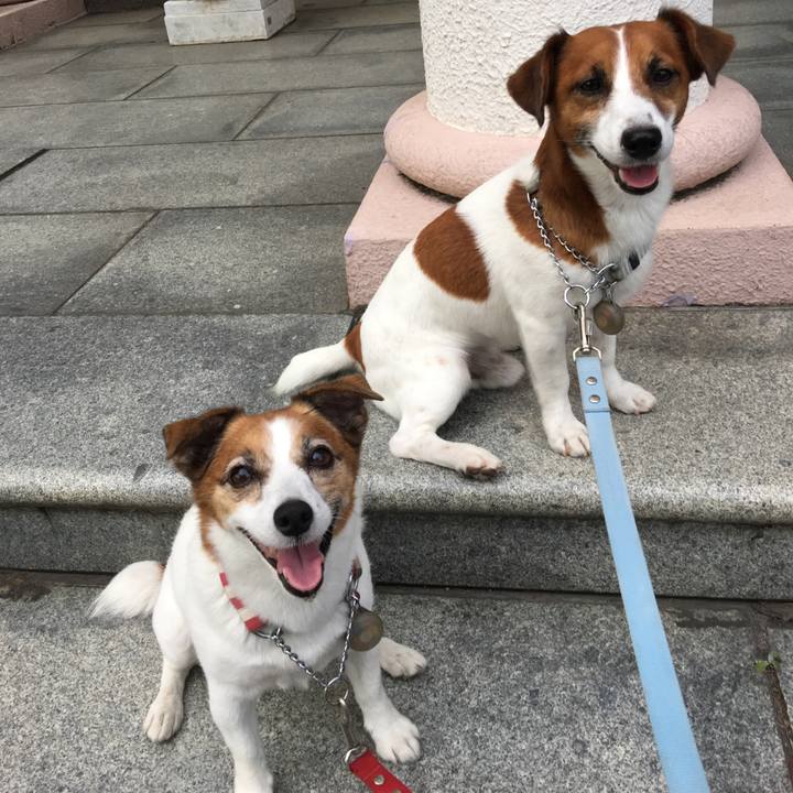 3f84c1b2 16c0 4063 9ff2 7cf21140493f