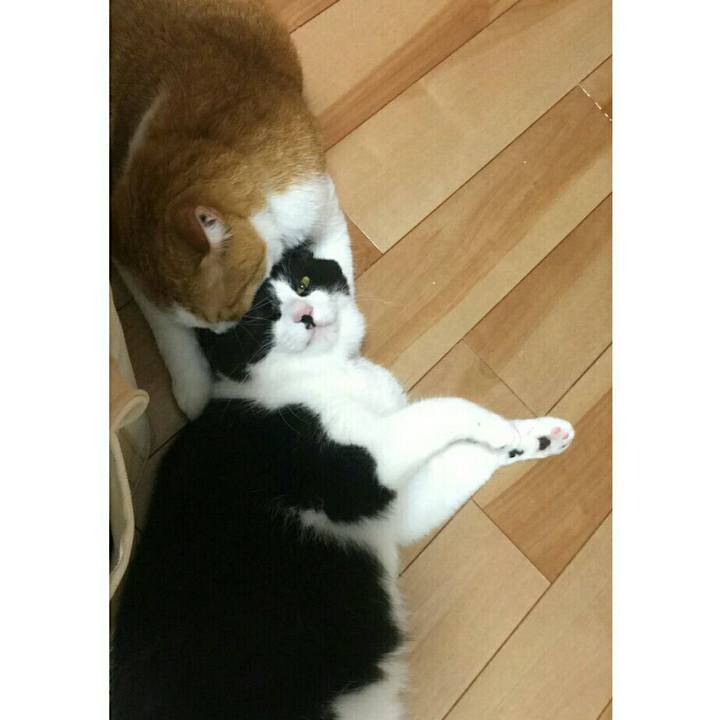 3f84c6ee 8b09 46c1 a5fa 65792c2de92f